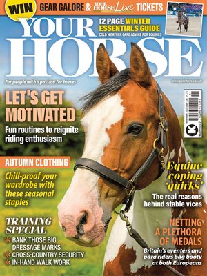 cover image of Your Horse